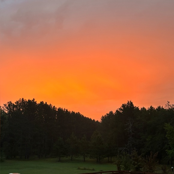 Meet your Posher, Gianna - Picture 2 of 3